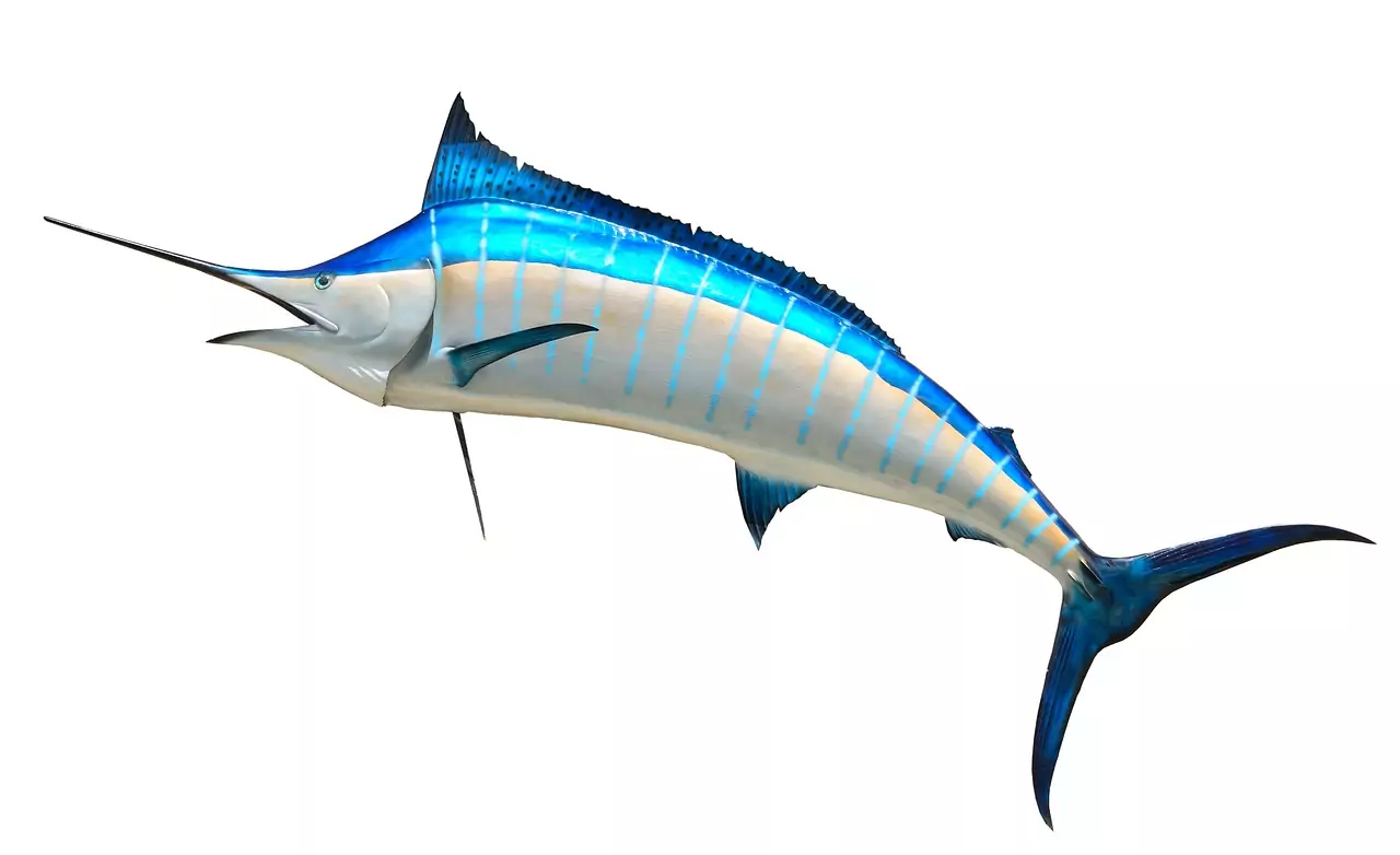 ВЕТРОХОД (виж ПЛАТНОХОД) Съновник ВЕТРОХОД (виж ПЛАТНОХОД)