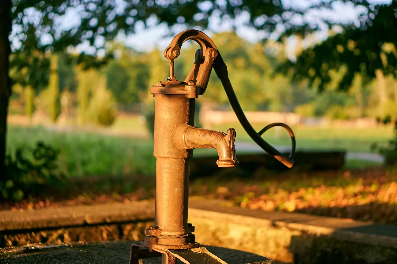 ВЛАГАЛИЩЕ (виж ПОЛОВИ ОРГАНИ) Съновник ВЛАГАЛИЩЕ (виж ПОЛОВИ ОРГАНИ)