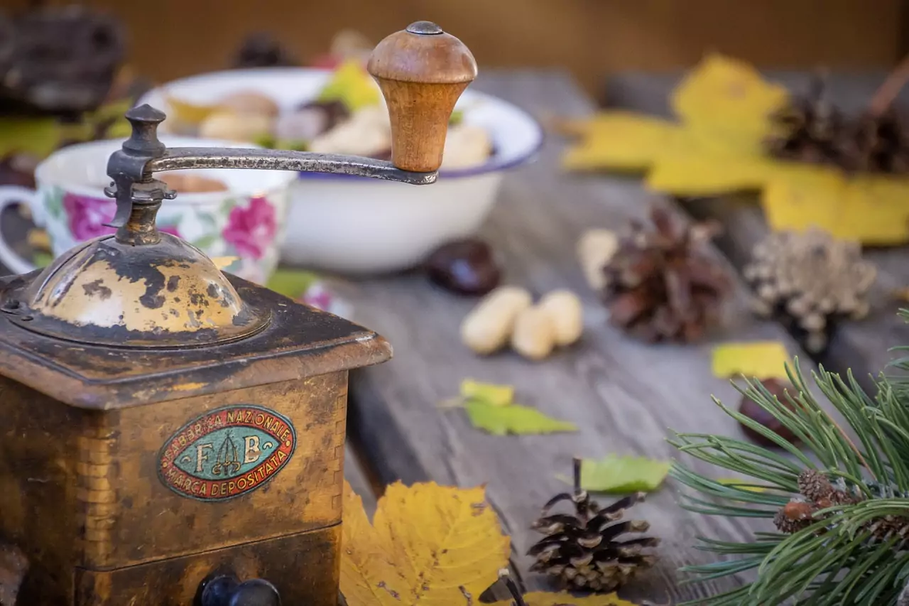 Съновник ВОДЕНИЧЕН КАМЪК