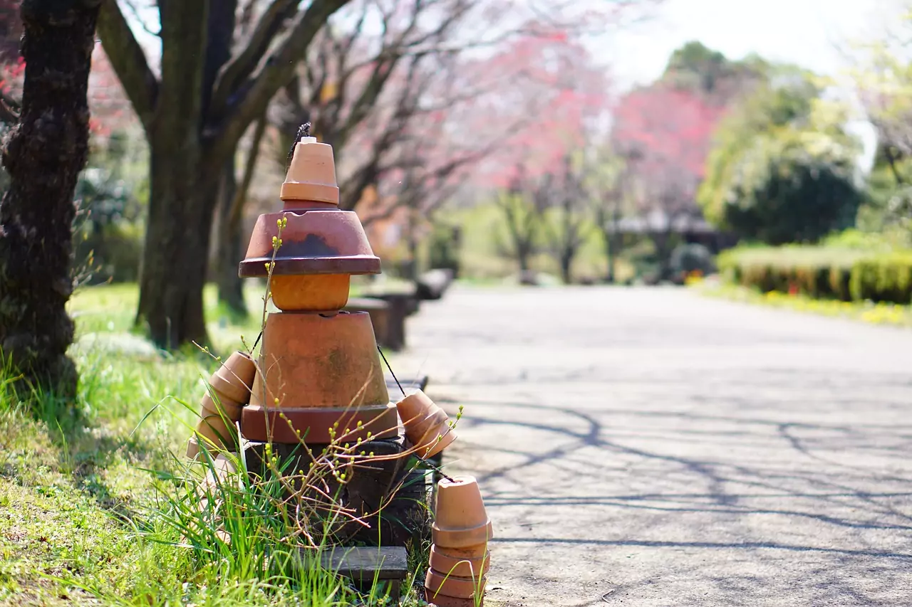Втренчен поглед Съновник Втренчен поглед