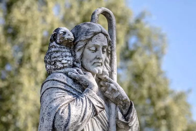 Тълкуване на сън за ГЕГА (виж БАСТУН, ПРЪЧКА, СОПА, ТОЯГА)