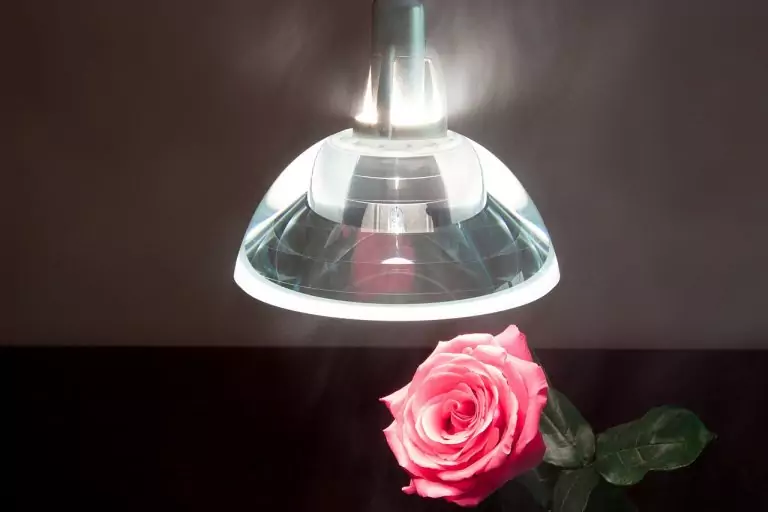 Тълкуване на сън за Дебелина