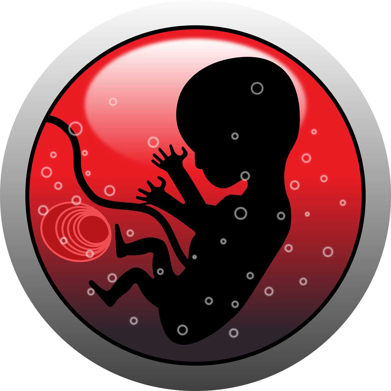 Съновник - ембрион