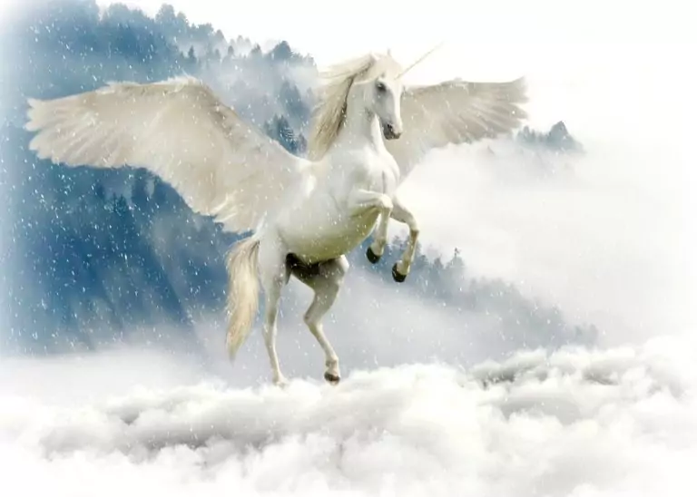 Тълкуване на сън за Еднорог да сънувате