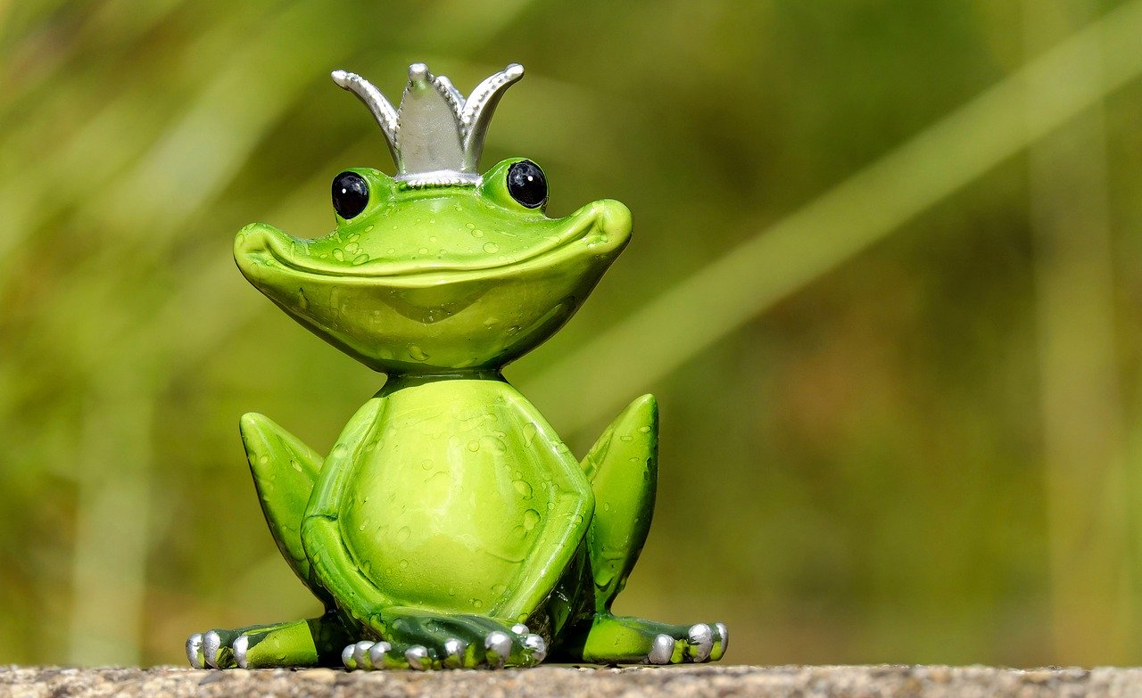 Съновник - жаба или жаби