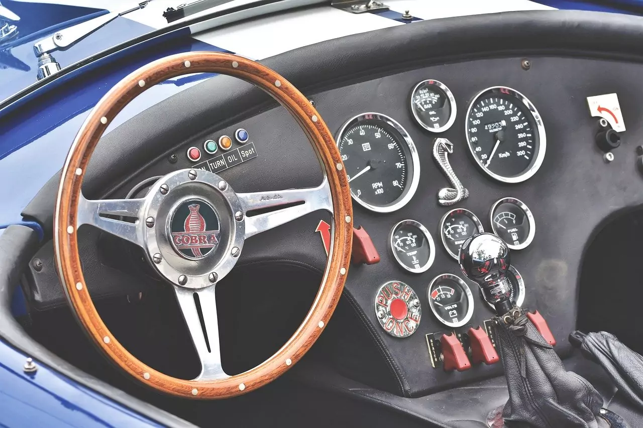 Съновник КОБРА (виж ЗМИЯ)