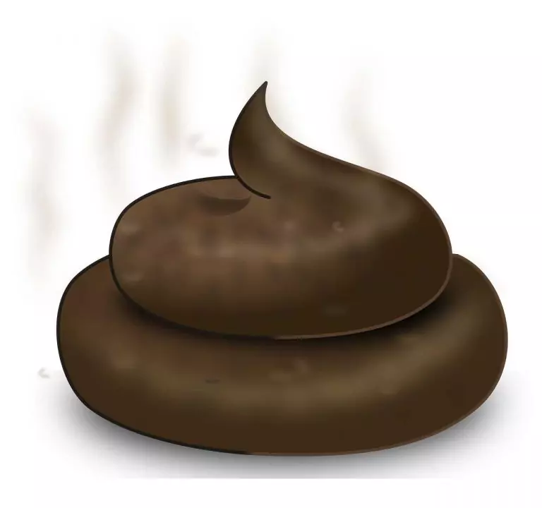 Тълкуване на сън за КУРЕШКИ