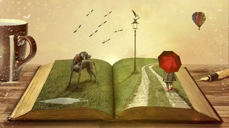 Тълкуване на сън за Книга