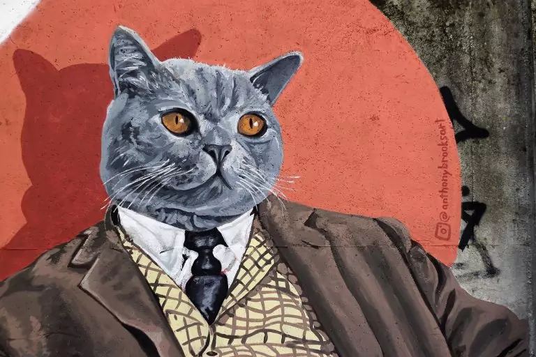 Тълкуване на сън за Мутри