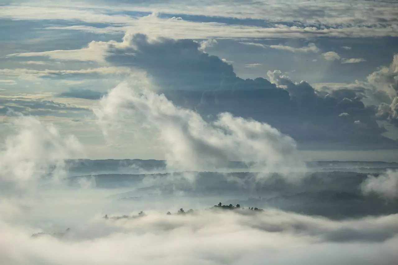 Съновник Небесносин цвят