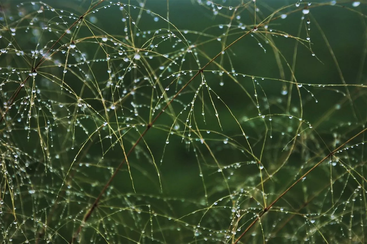 Съновник Огледало счупено да видиш насън