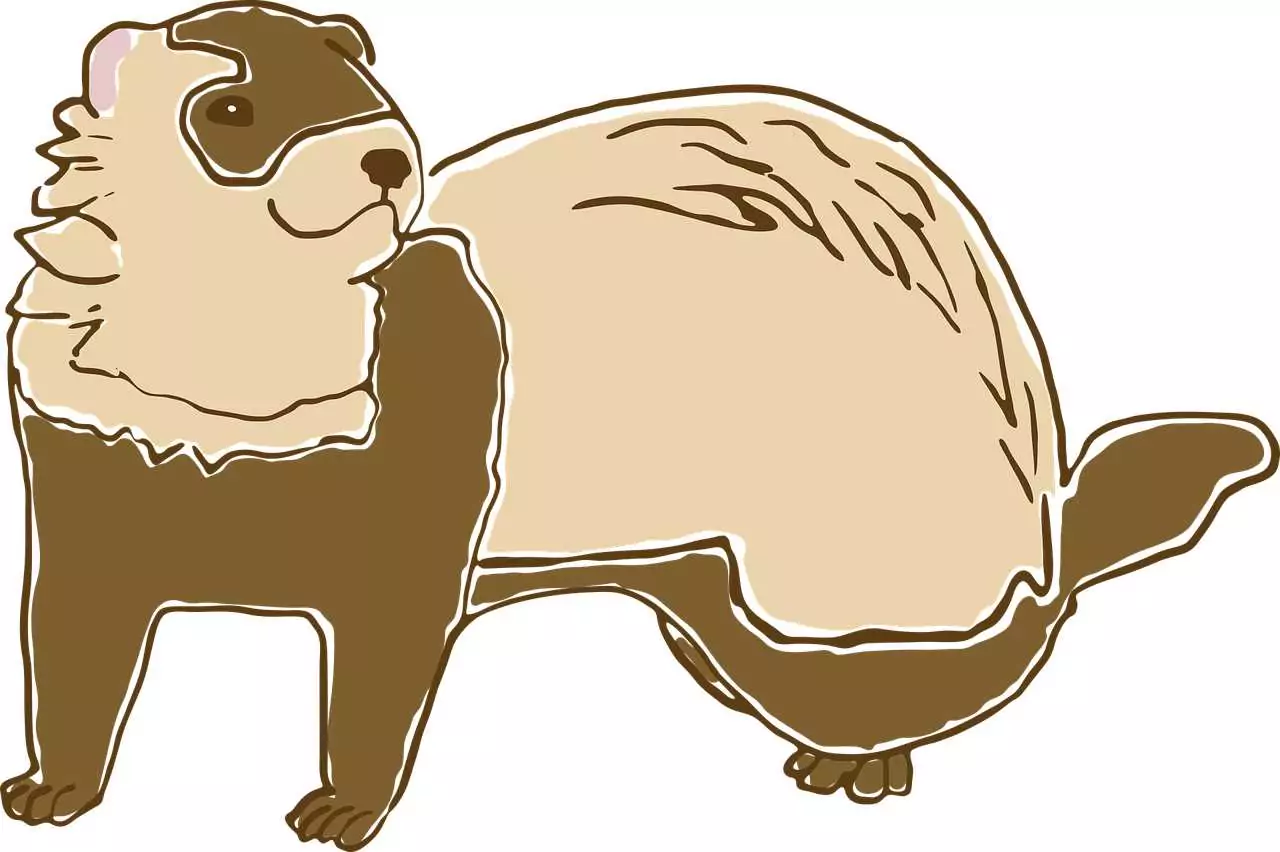 Опашка (от хора) Съновник Опашка (от хора)