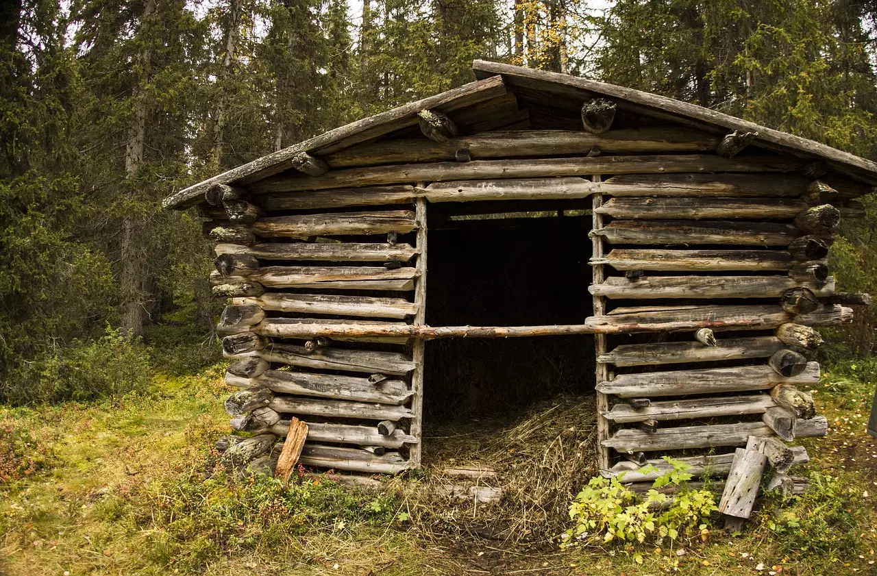 Съновник ПЛЕВНИК, ПЛЕВНЯ