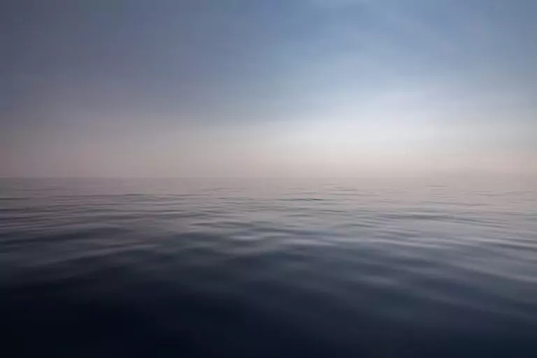 Тълкуване на сън за ПСИХОЛОГ