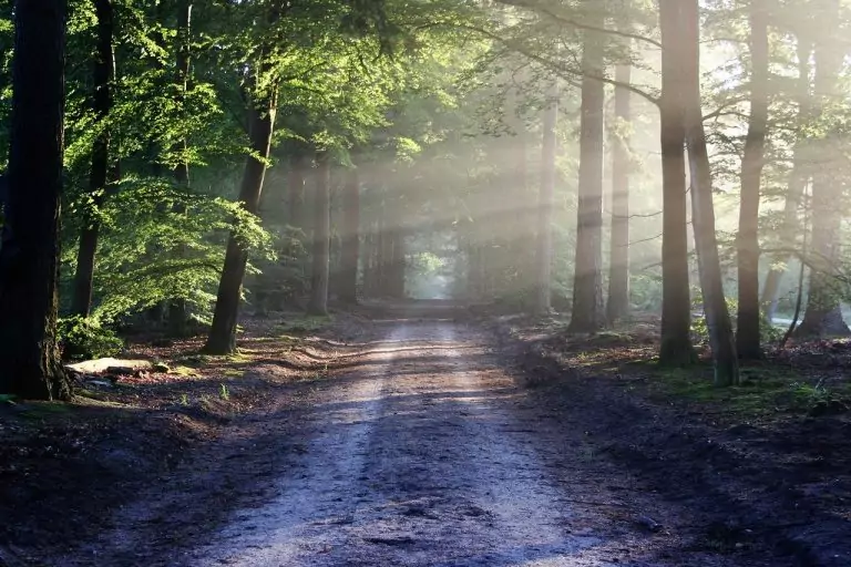 Тълкуване на сън за ПЪТ, ПЪТЕКА, ПЪТНИ ЗНАЦИ, ПЪТНИК, ПЪТУВАНЕ, ПЪТЕВОДИТЕЛ, ПЪТЕПОКАЗАТЕЛ