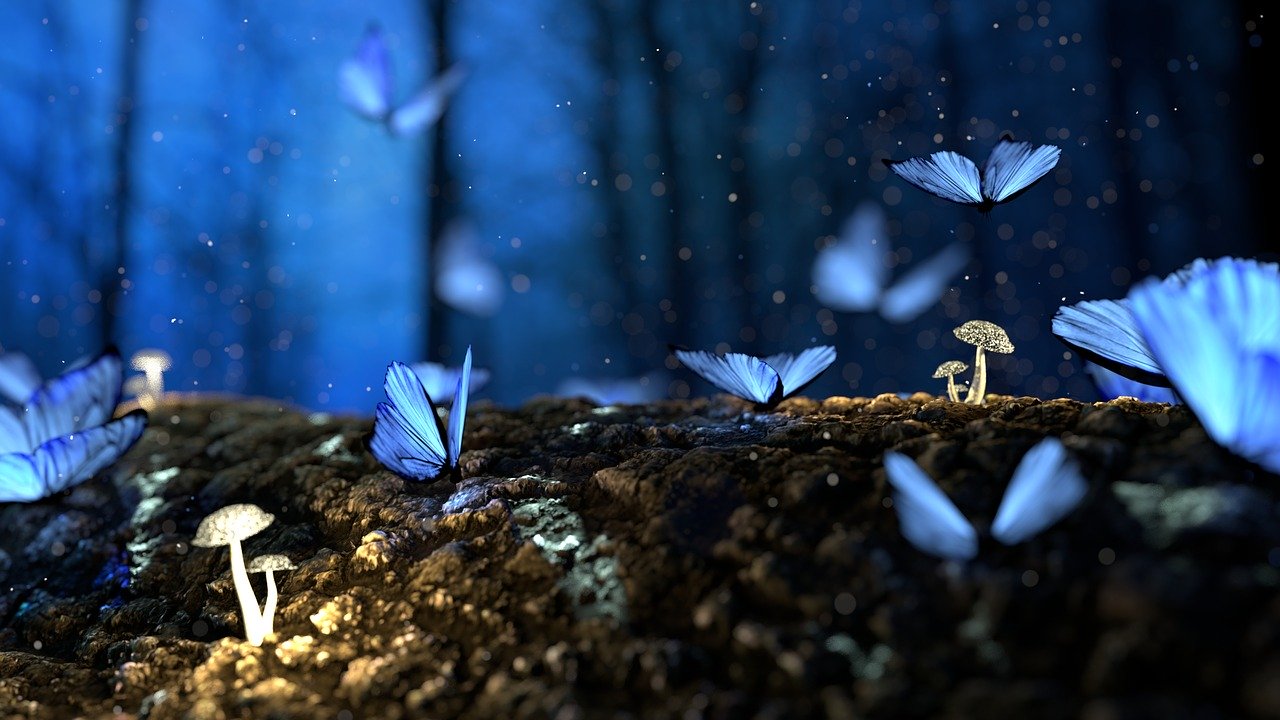 Съновник - пеперуда, че лети около свещ