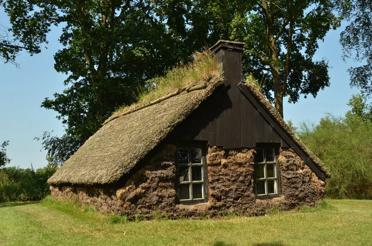 Съновник ПЛЮЯ