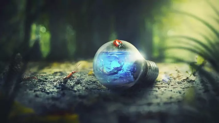 Тълкуване на сън за РУСАЛКА