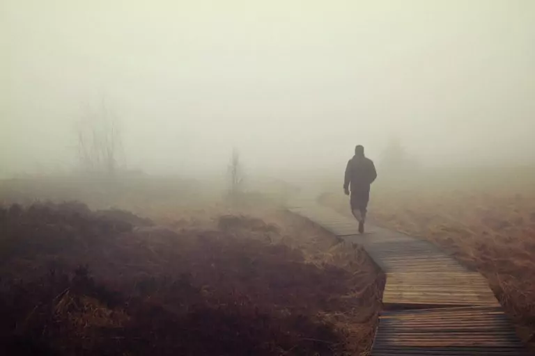 Тълкуване на сън за Тресавище (блато)