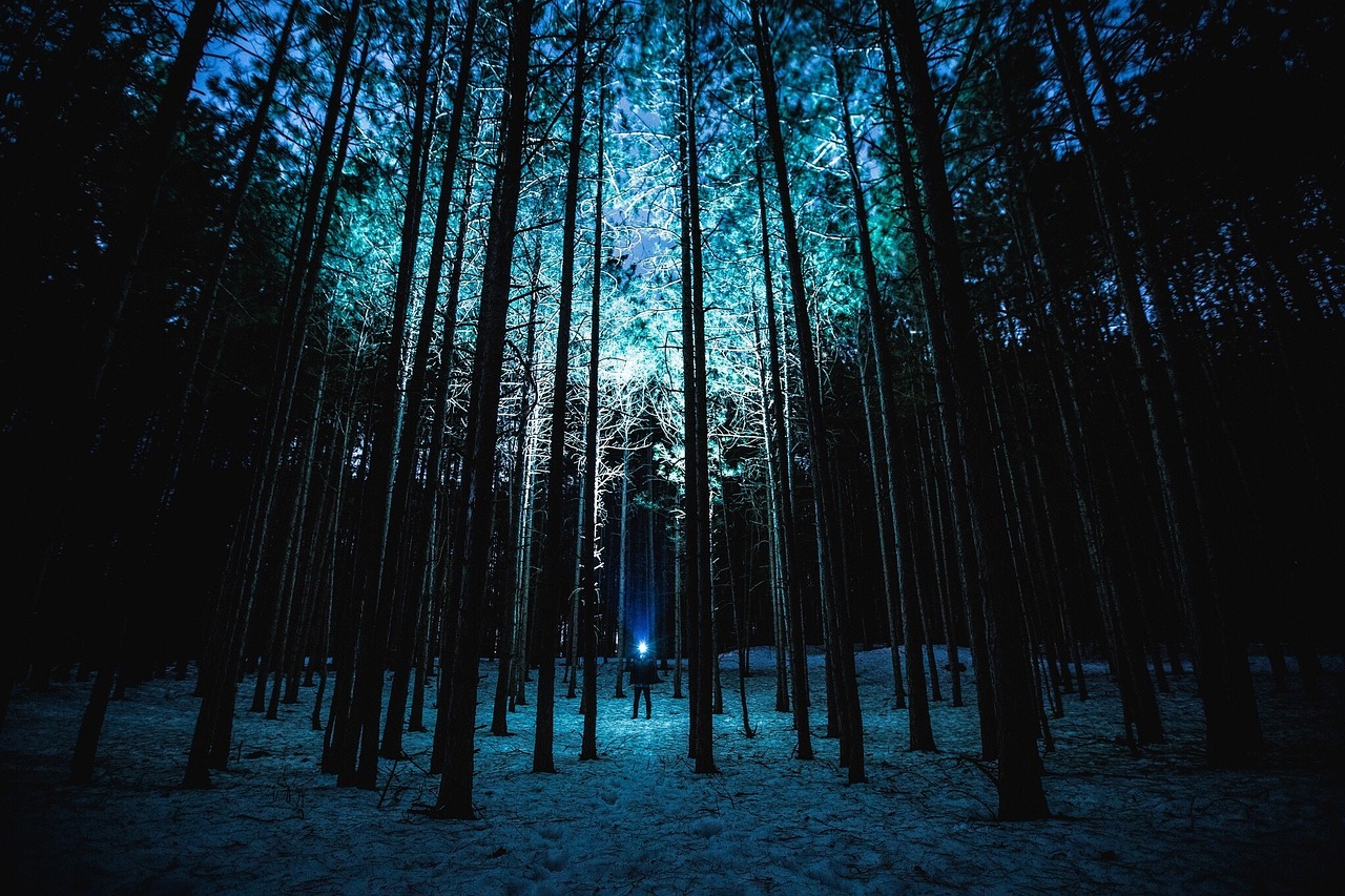 Съновник Фенерче