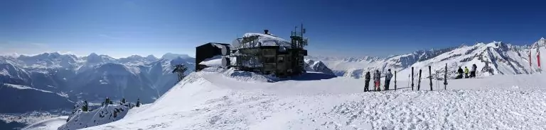 Тълкуване на сън за Фиш