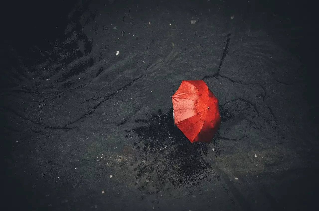 Съновник - чадър за дъжд