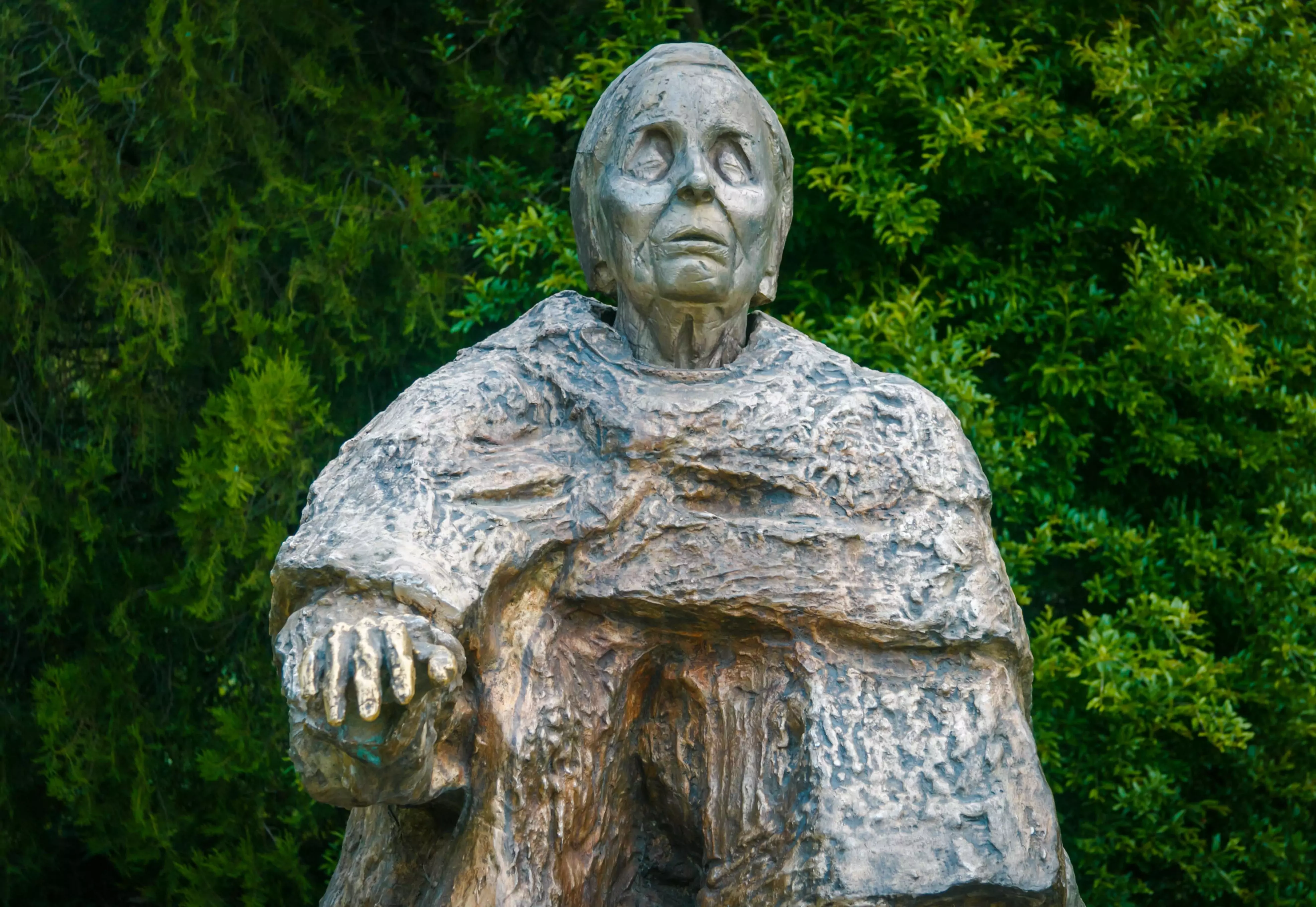 Ванга - полезни рецепти