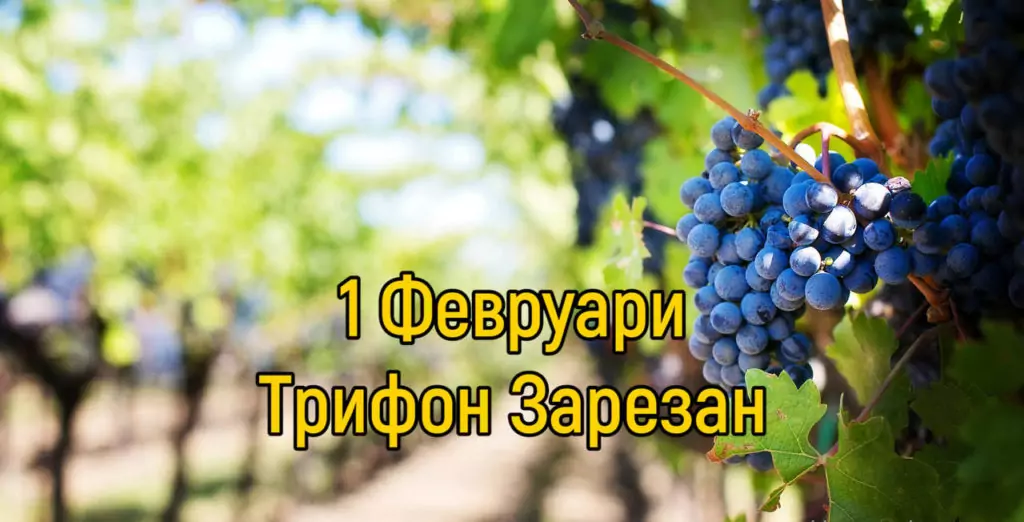 Трифон Зарезан – обичаи и трапеза