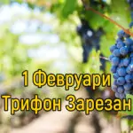 Трифон Зарезан – обичаи и трапеза