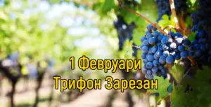 Трифон Зарезан – обичаи и трапеза