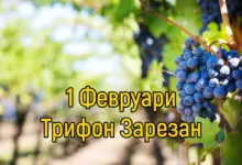 Трифон Зарезан – обичаи и трапеза