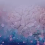 Силата на мисълта и как тя променя живота ни