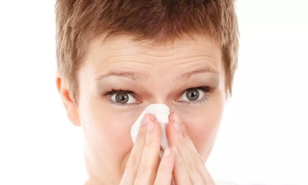 При синузит - нишадър