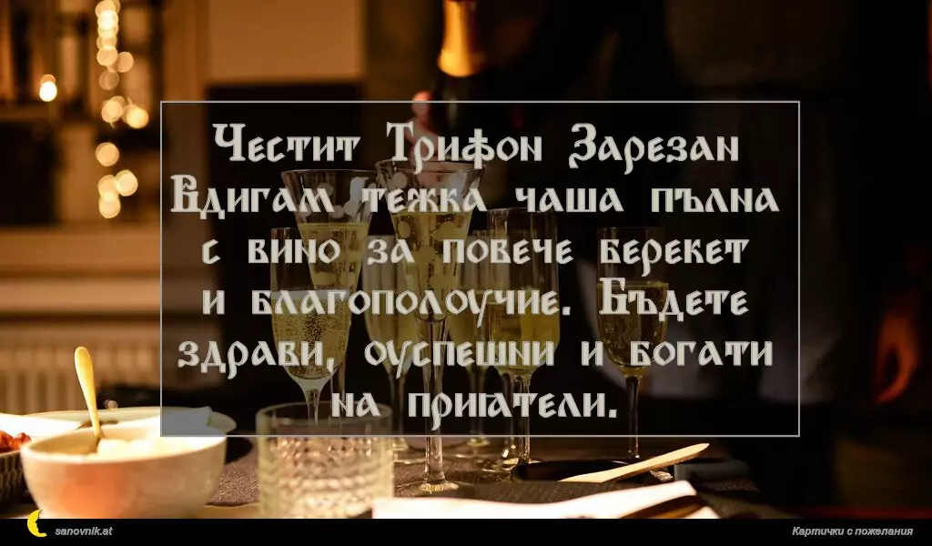 Честит Трифон Зарезан
Вдигам тежка чаша пълна с вино за повече берекет и благополучие. Бъдете здрави, успешни и богати на приятели.