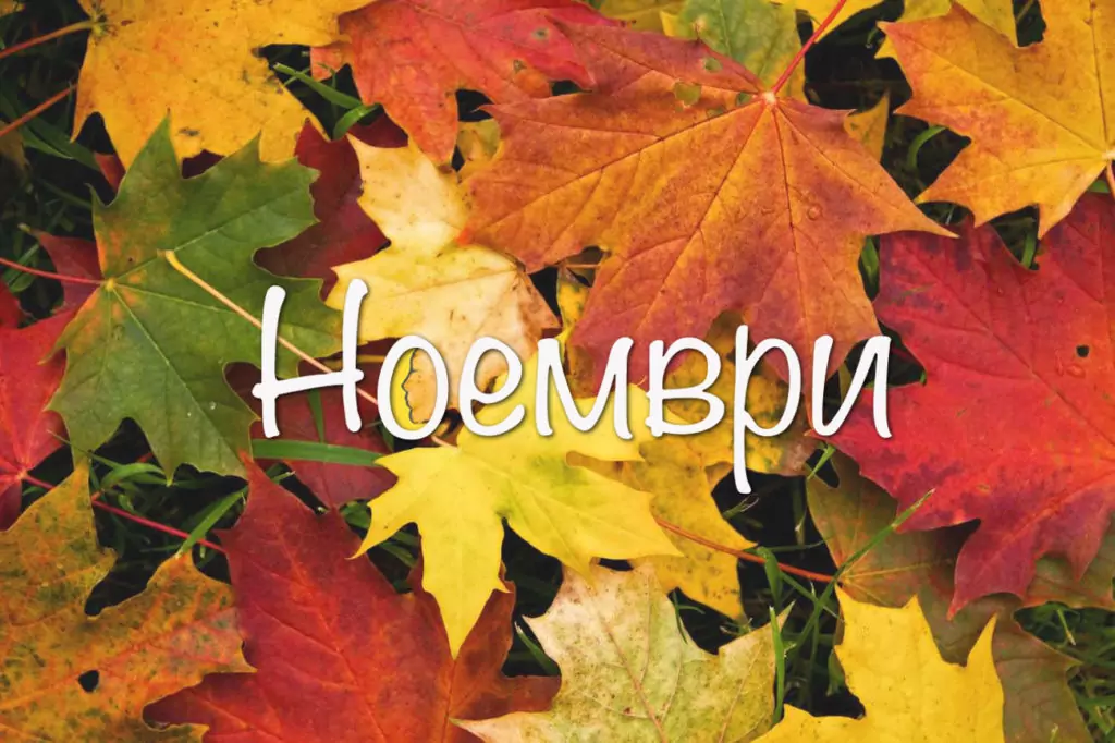 Имени дни през Ноември