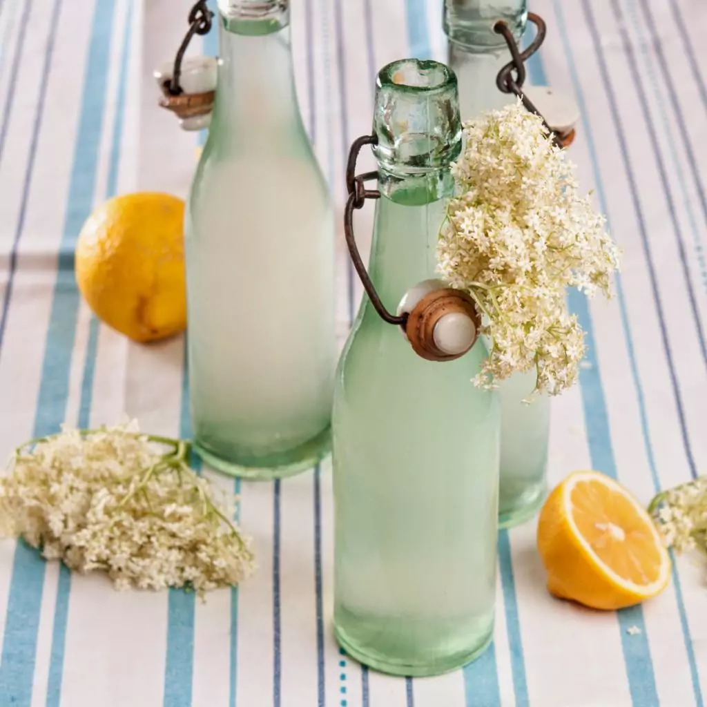 Бъзът бори вирусите