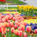 Именни дни през Май