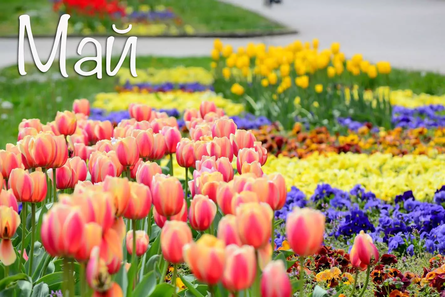 Именни дни през Май