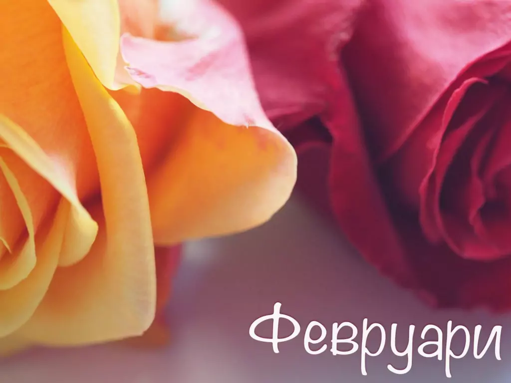 Имени дни през Февруари