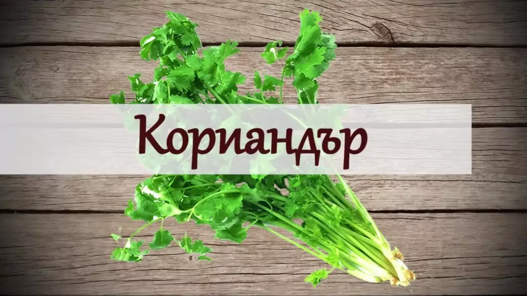 10 подправки за страстен секс - кориандър