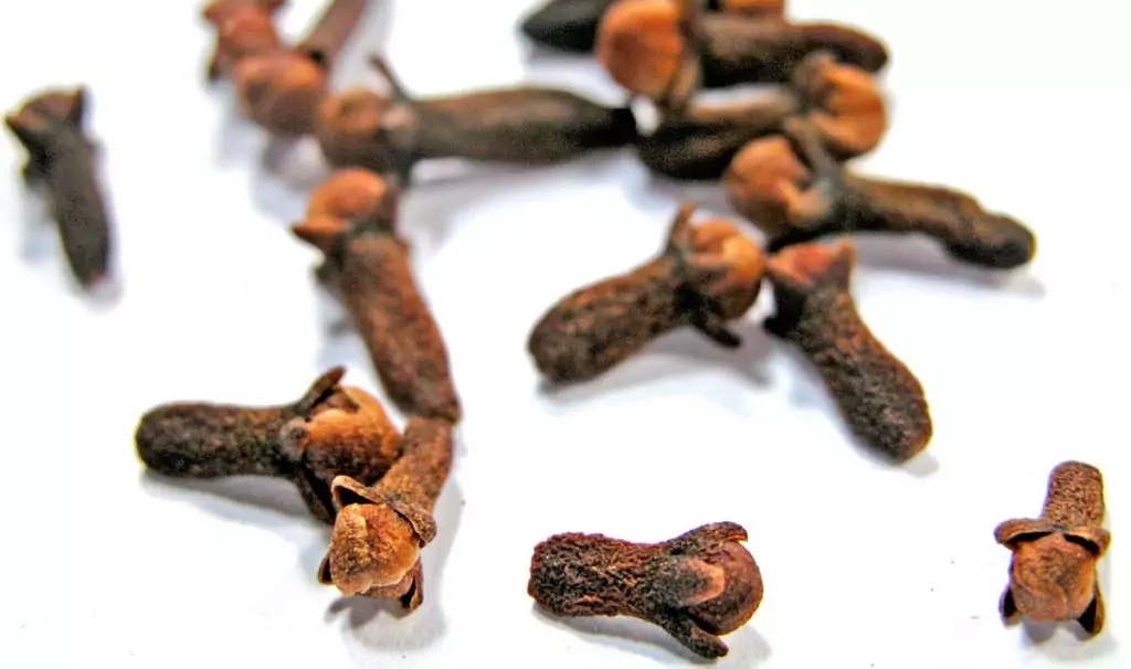 10 подправки за страстен секс - карамфил