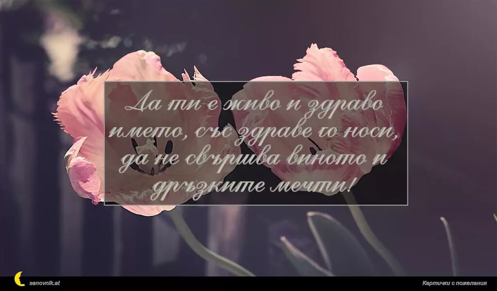 sanovnik.at - Картички за Именни Дни Да ти е живо и здраво името, със здраве го носи, да не свършва виното и дръзките мечти!