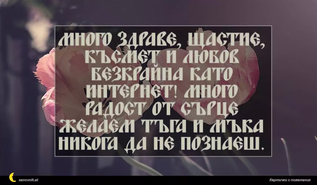 sanovnik.at - Картички за Именни Дни Много здраве, щастие, късмет и любов безкрайна като интернет! Много радост от сърце желаем тъга и мъка никога да не познаеш.