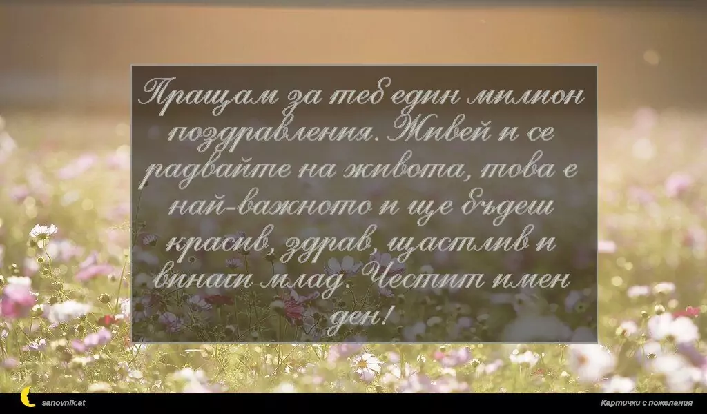 Пожелание за Имен Ден 87