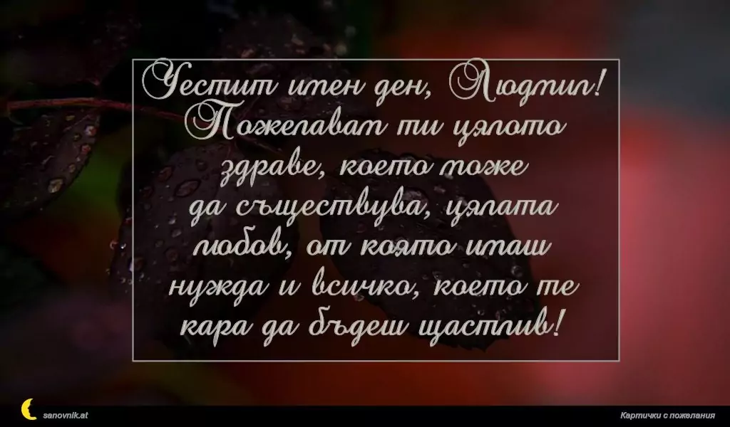 Пожелание за Людмил, Людмила 3