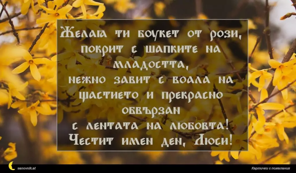 Пожелание за Людмил, Людмила 5