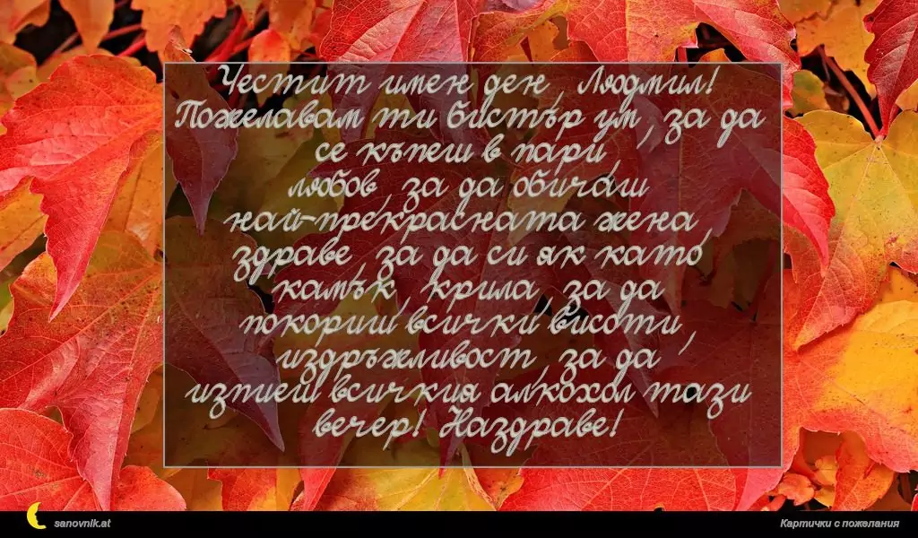 Пожелание за Людмил, Людмила 6