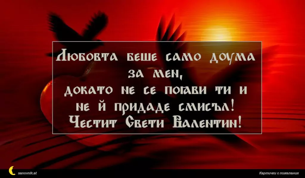 Любовта беше само дума за мен,
докато не се появи ти и не й придаде смисъл!
Честит Свети Валентин!