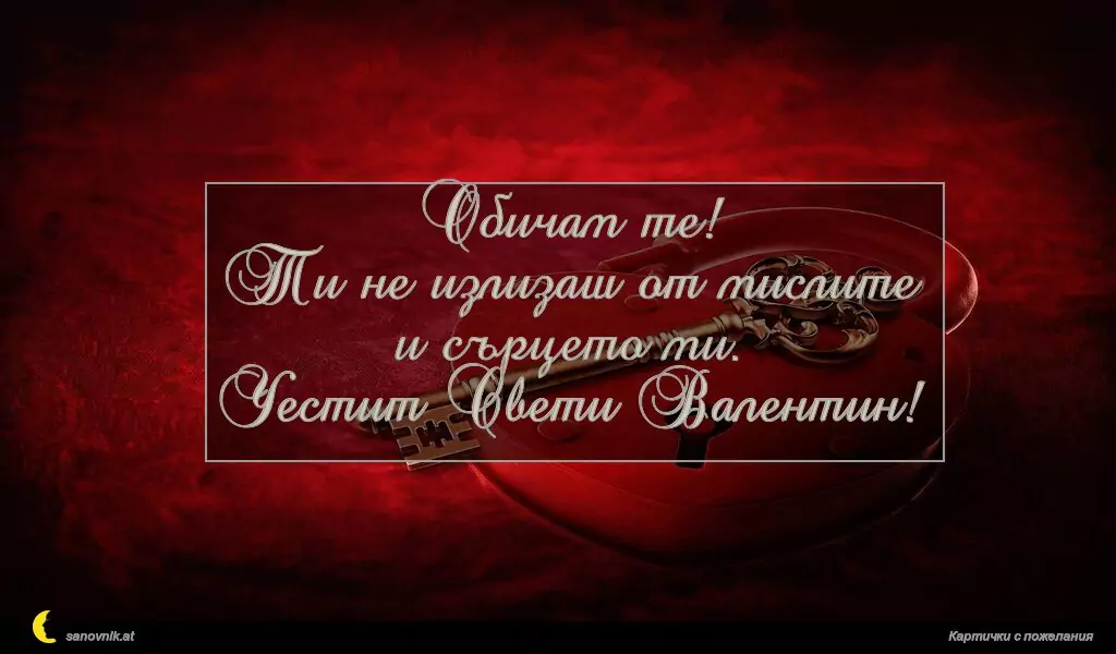 Обичам те!
Ти не излизаш от мислите и сърцето ми.
Честит Свети Валентин!