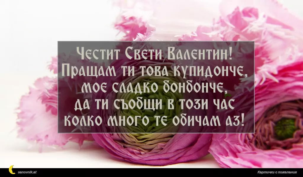 Честит Свети Валентин!
Пращам ти това купидонче,
мое сладко бонбонче,
да ти съобщи в този час
колко много те обичам аз!